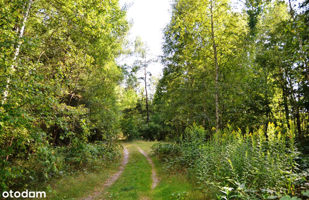 Działki budowlane pod lasem 1000m2-10