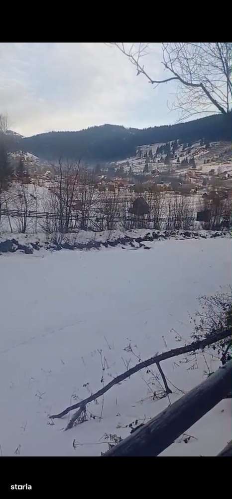 Teren langa padure 8179 mp , cu izvoare de munte-6