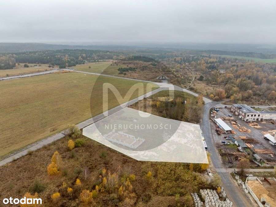 Działka, 10 004 m², Chojna-3