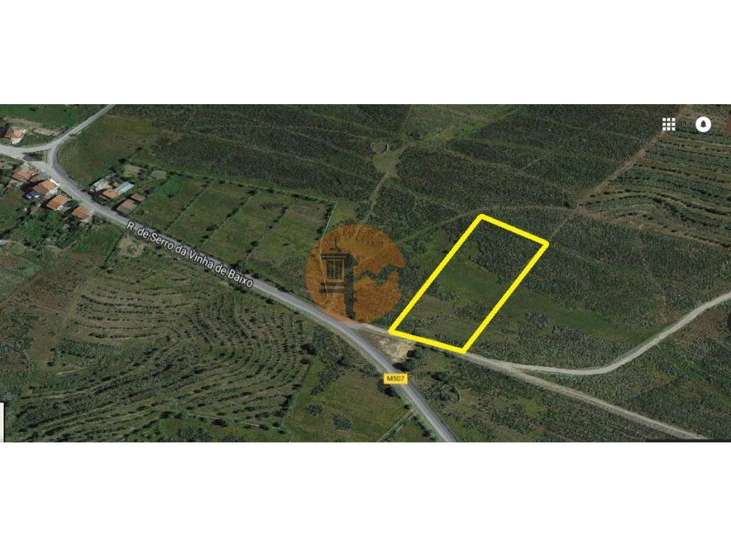 Terreno rústico em Alcoutim - Grande imagem: 2/7