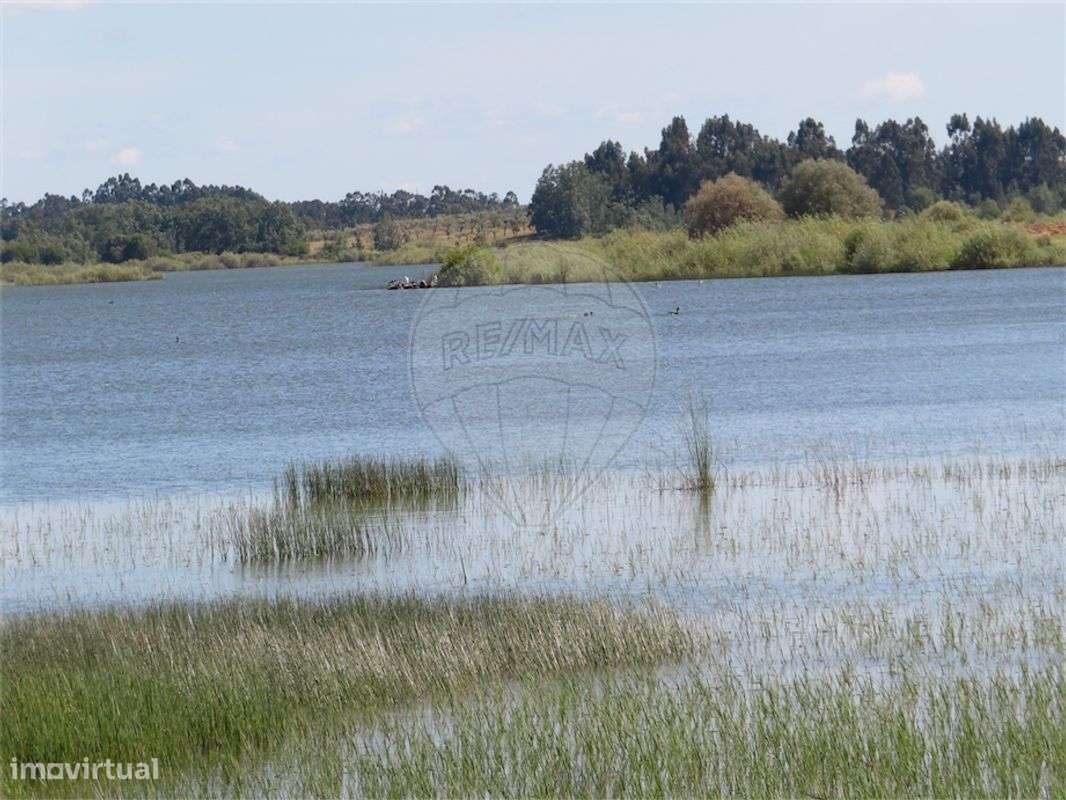 Quinta  para venda - Grande imagem: 5/27