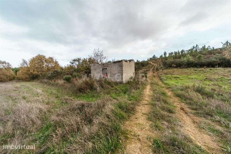 Terreno, Pesinho - Grande imagem: 5/7