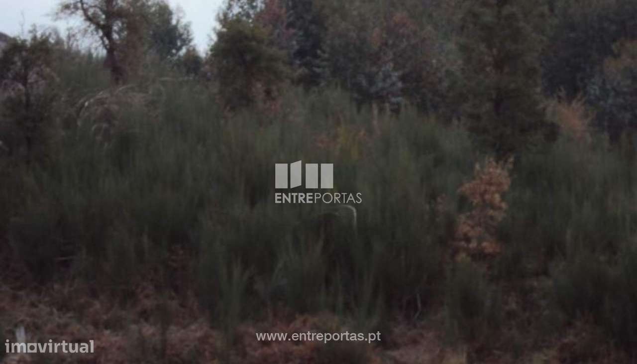 Venda Terreno, Banho e Carvalhosa, Marco de Canaveses - Grande imagem: 4/30