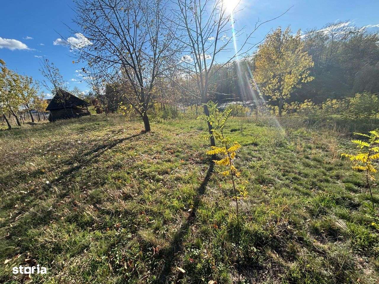 Teren cu lac privat- Albolta, jud Arges - Imagine principală: 4/6