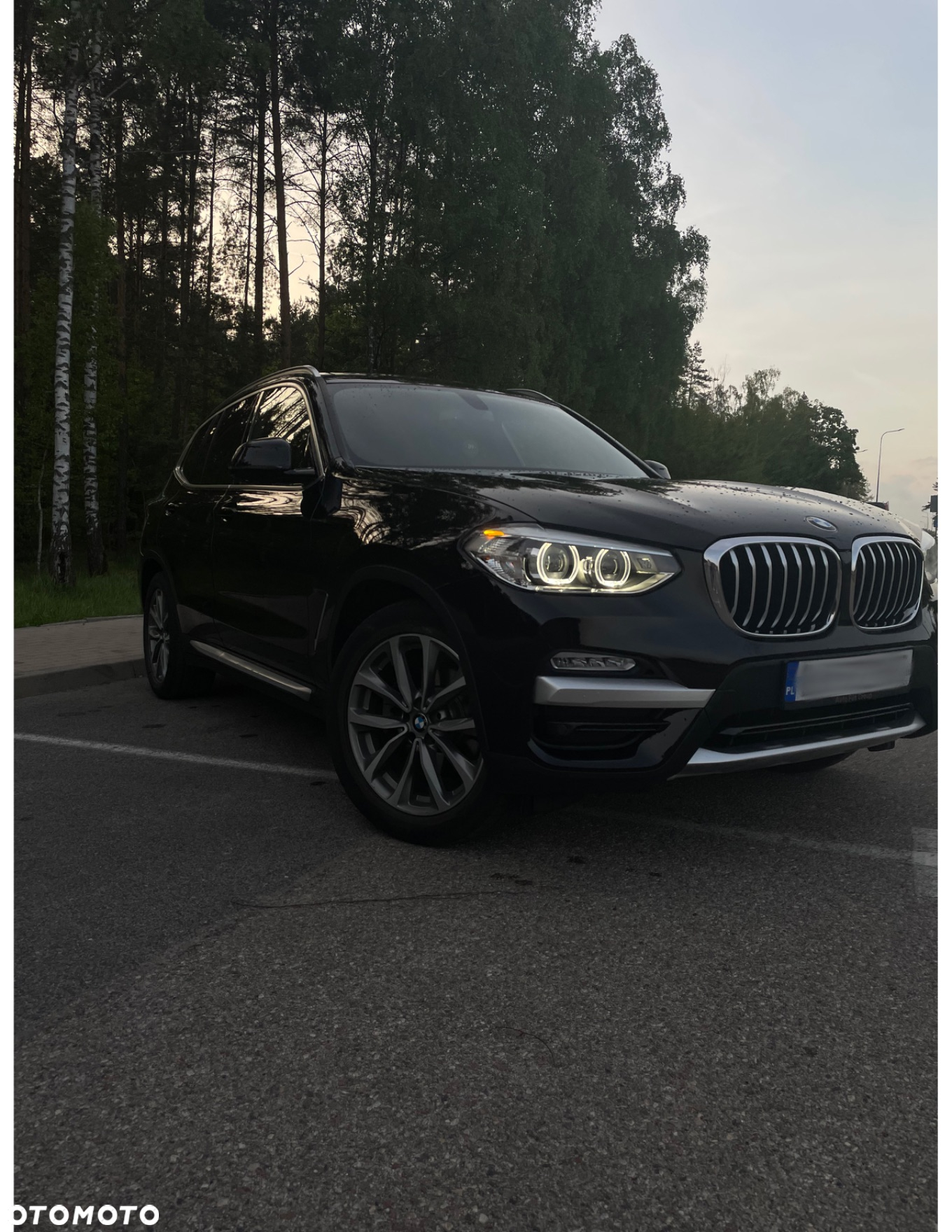 BMW X3 xDrive30i xLine - 3