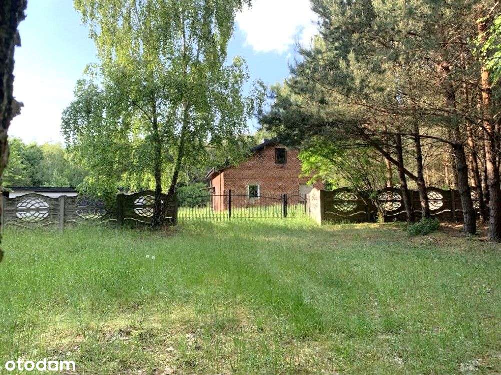 dom w środku lasu gm. Izbica Kujawska woj Kujawsko-7