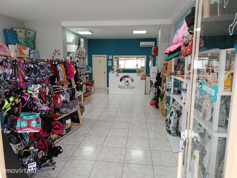 TRESPASSE de Loja Petshop & Banhos e Tosquias em Chaves - Grande imagem: 4/7
