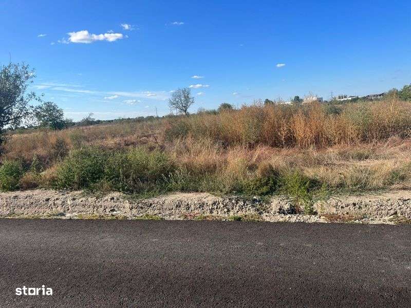 Vând teren intravilan in Copaceni Ilfov 12 min de Bucuresti - Imagine principală: 4/7