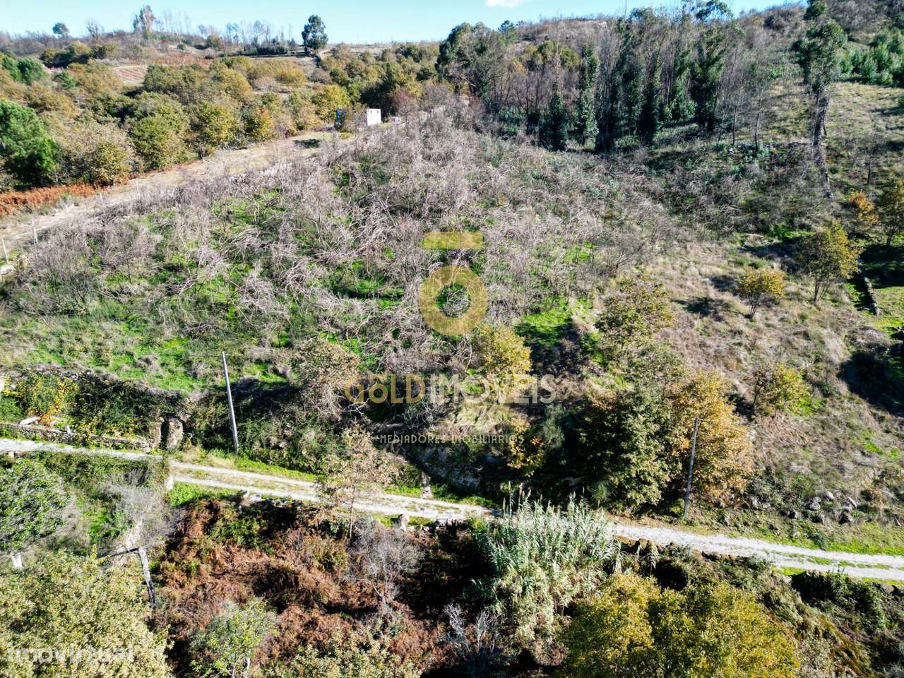 Terreno Rústico  Venda em Grilo,Baião - Grande imagem: 3/5