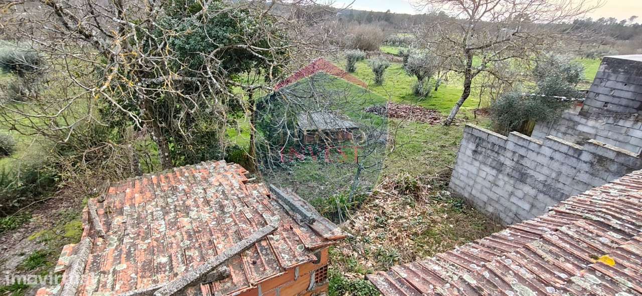 Moradia Isolada T3 Venda em Eirado,Aguiar da Beira - Grande imagem: 5/25