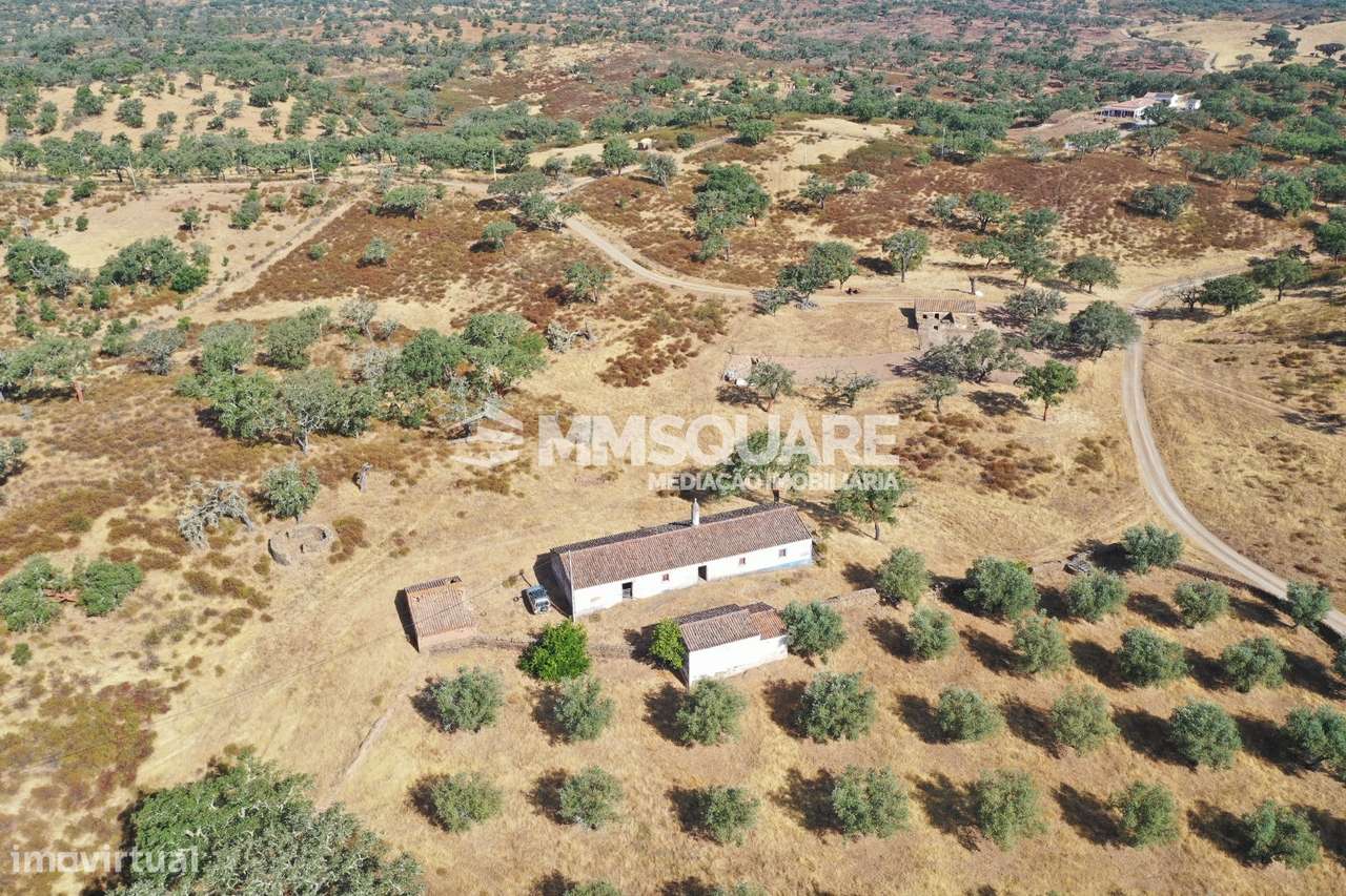 Monte do Chaparral — Ourique-12