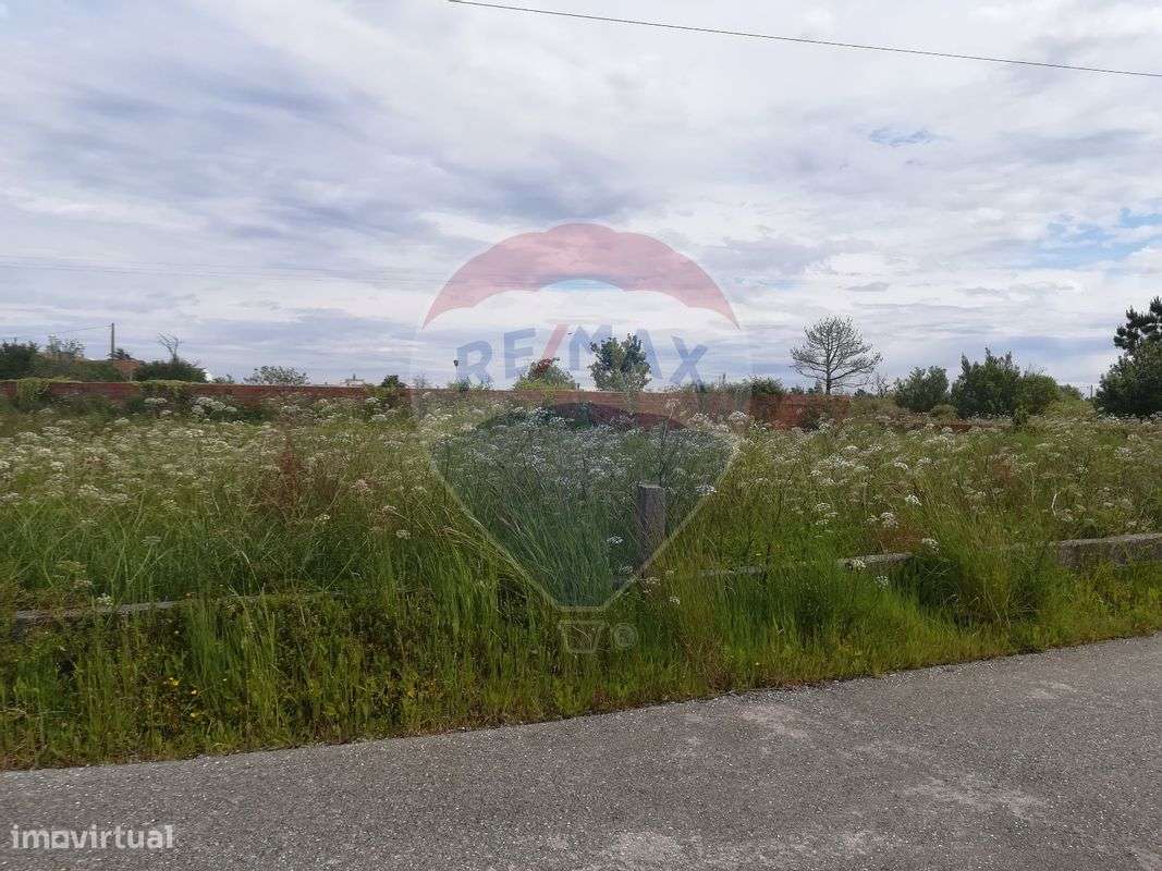 Terreno  para Venda - Grande imagem: 4/5