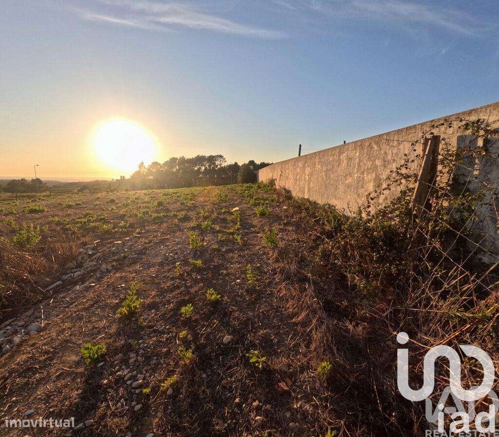 Terreno em Mafra - Grande imagem: 3/15