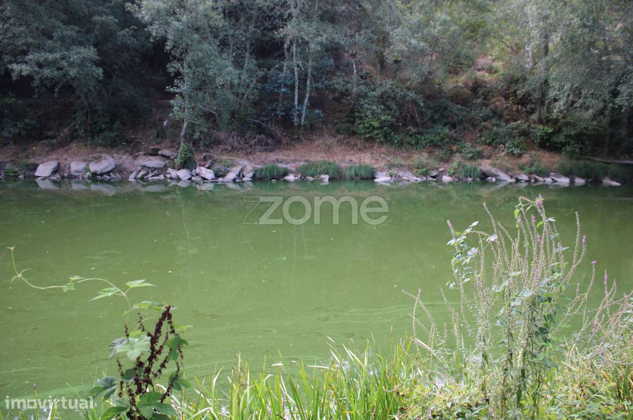 Terreno na margem do Rio Dão - Grande imagem: 5/23