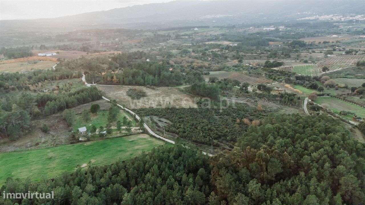 Terreno / Fundão, Vale de Prazeres e Mata da Rainha - Grande imagem: 3/9