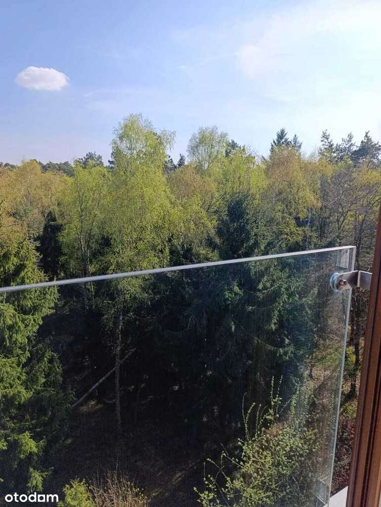 Apartament typu Penthouse Golden Tulip-13