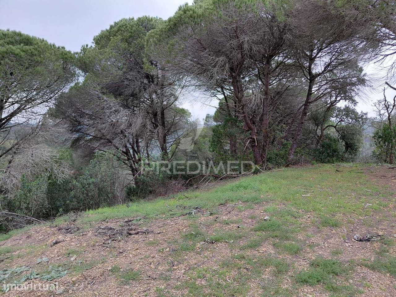 Monte Alentejano com 5,6 hc,São Francisco Serra, Santiago do Cacém. - Grande imagem: 5/30