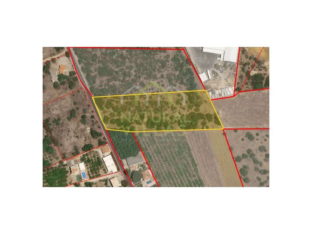 Terreno Rústico Plano em Bela Salema, Faro - Grande imagem: 5/5