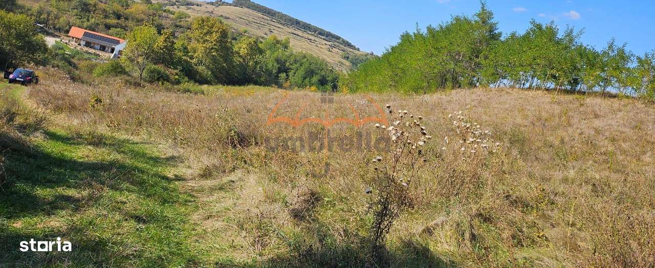 Teren agricol de vanzare in INUCU-Aghires, 1550m² Extravilan - Imagine principală: 5/7