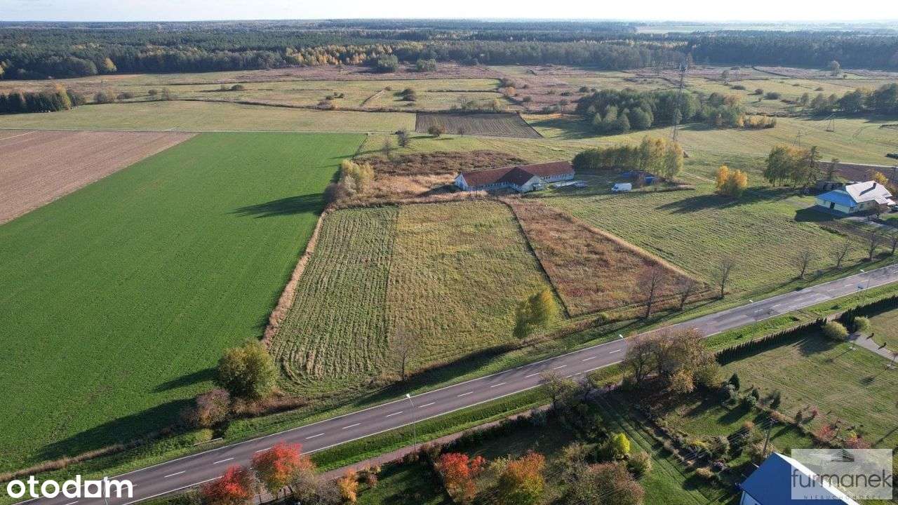 Działka usługowa na Roztoczu przy drodze krajowej - Pełny obrazek: 4/20