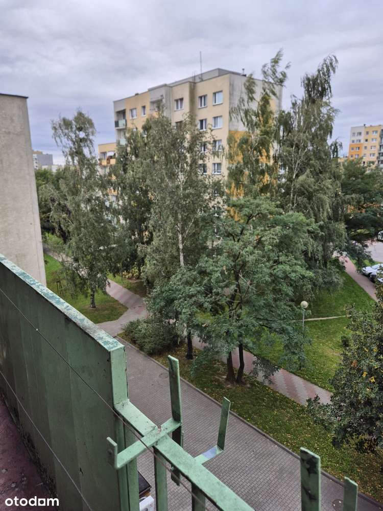 Północ 52 m2 do remontu , Nowe okna ,Okazja ,balkon , winda, Promenada - Pełny obrazek: 1/6