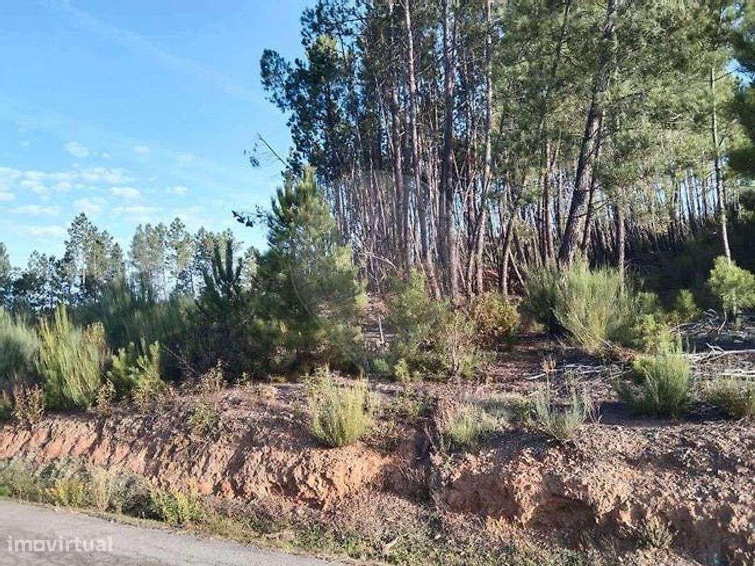 Terreno  para arrendamento - Grande imagem: 3/3