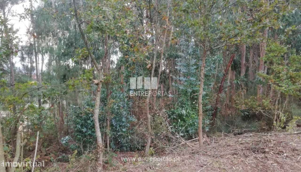 Venda de Terreno, Cardielos, Viana do Castelo - Grande imagem: 5/30