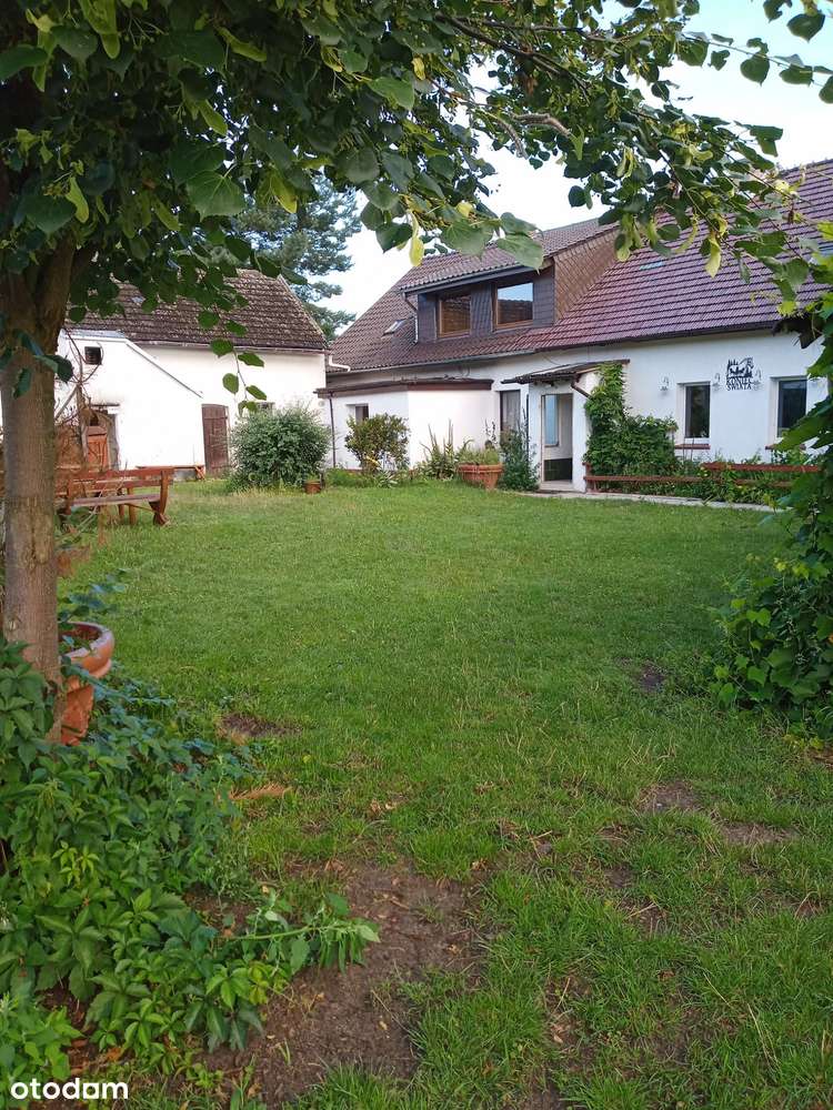 Dom, siedlisko, gospodarstwo - Pełny obrazek: 5/20