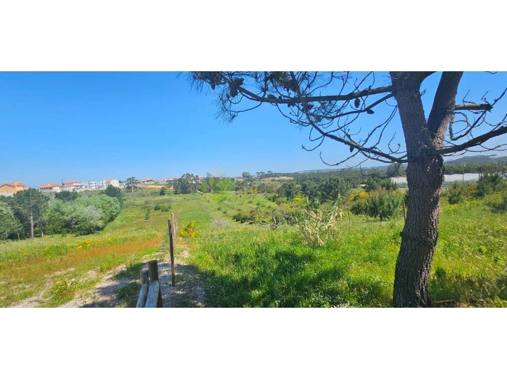 Terreno parcialmente urbano de 1.920 m2, perto de Torres Vedras-13