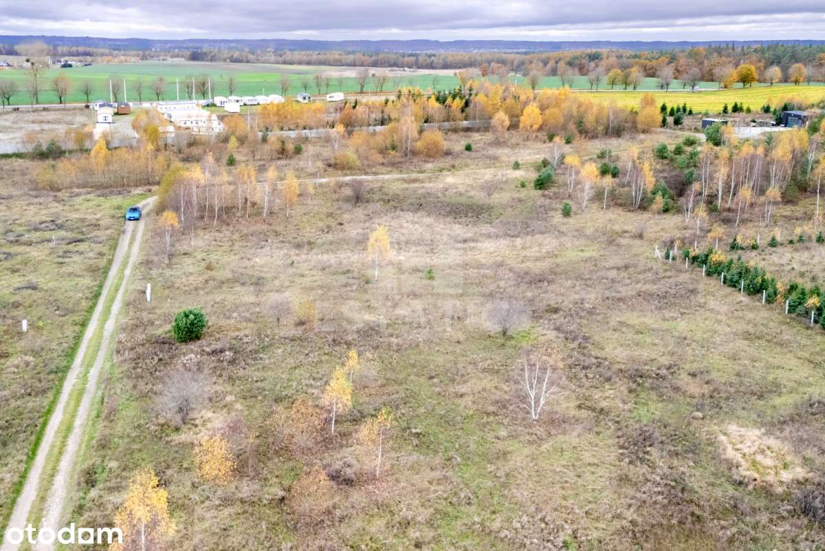Działka budowlana | możliwość podziału | Borcz - Pełny obrazek: 5/14