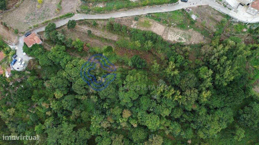 3 ruínas no Douro com sobreiros e frente rio. Invista no refúgio dos s - Grande imagem: 3/12