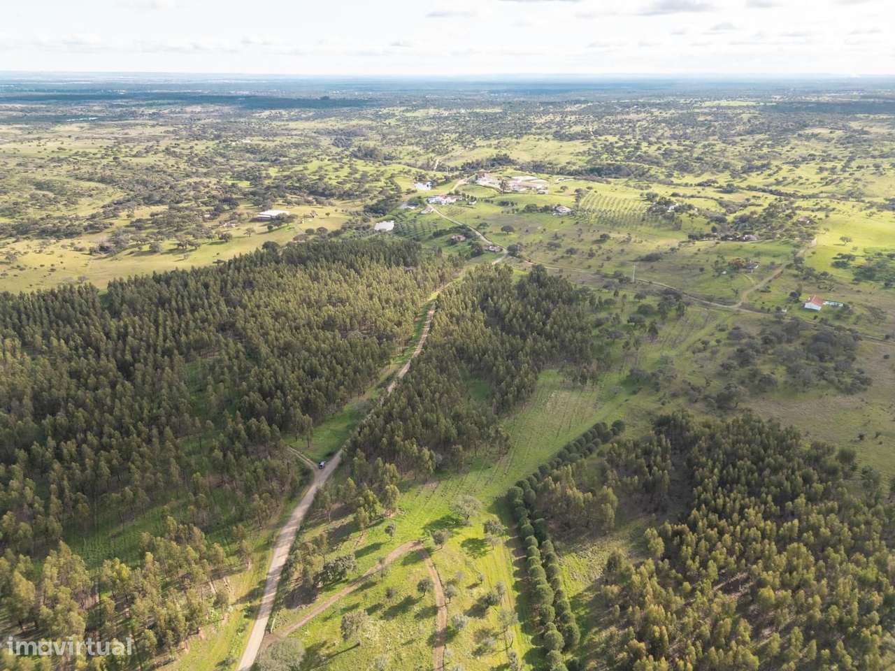 Terreno Rústico 16.0 ha, Azinheira dos Barros, Grandola - Grande imagem: 4/9