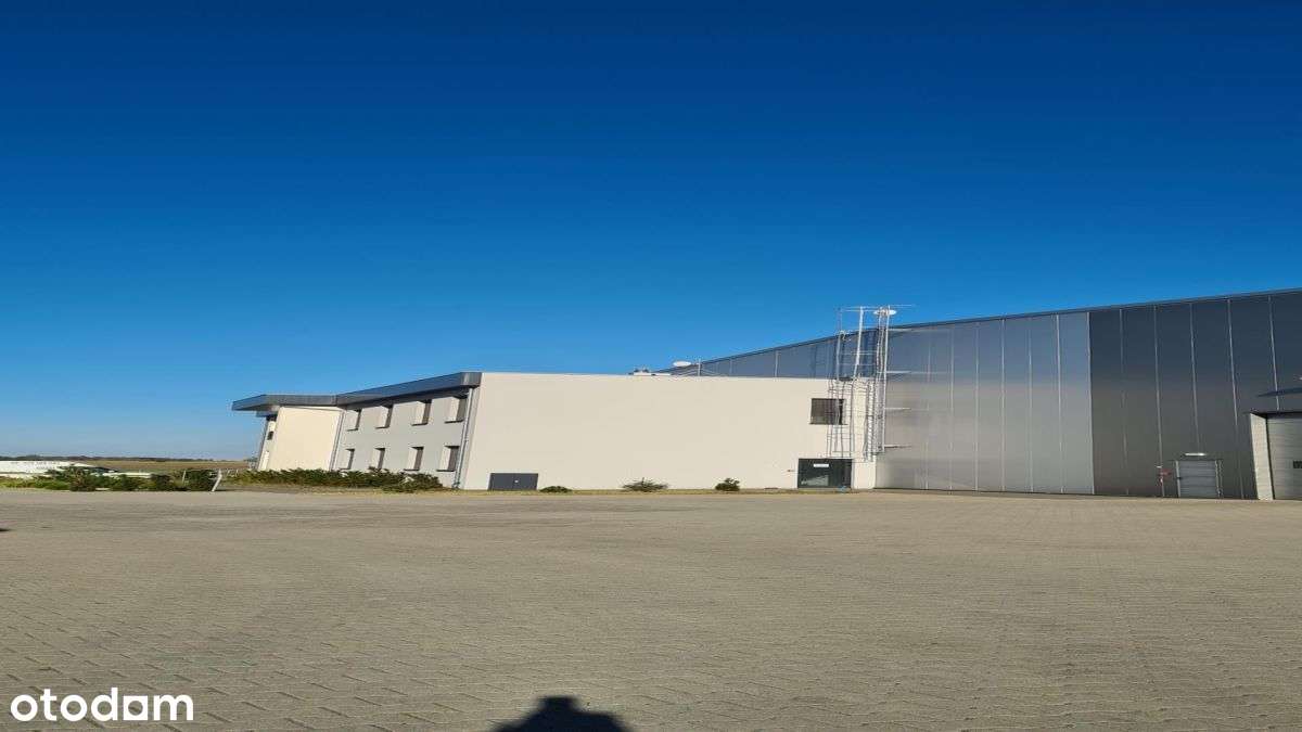 Biuro,Magazyn,Plac składowy, Parking - Pełny obrazek: 2/2