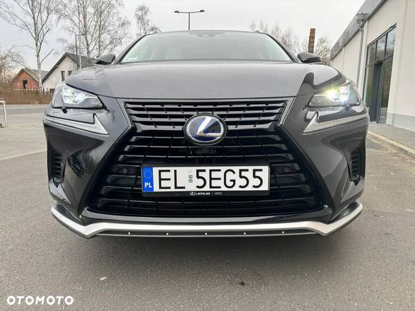 Lexus NX - 8