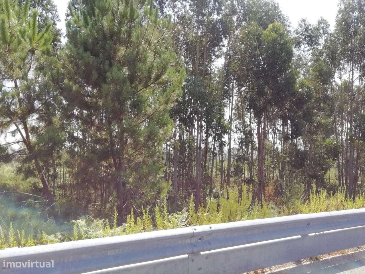 Terreno com 7801 m2 em Sandim - Grande imagem: 3/15