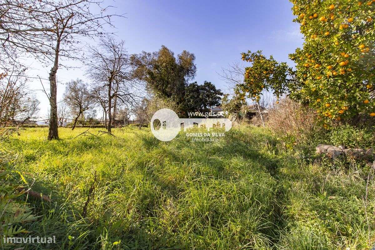 Duas moradias para restauro em Lago-15