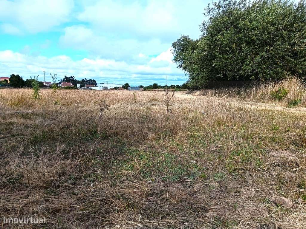 Terreno Rustico / Agrícola - Cacia - Para Investimento - Grande imagem: 4/21