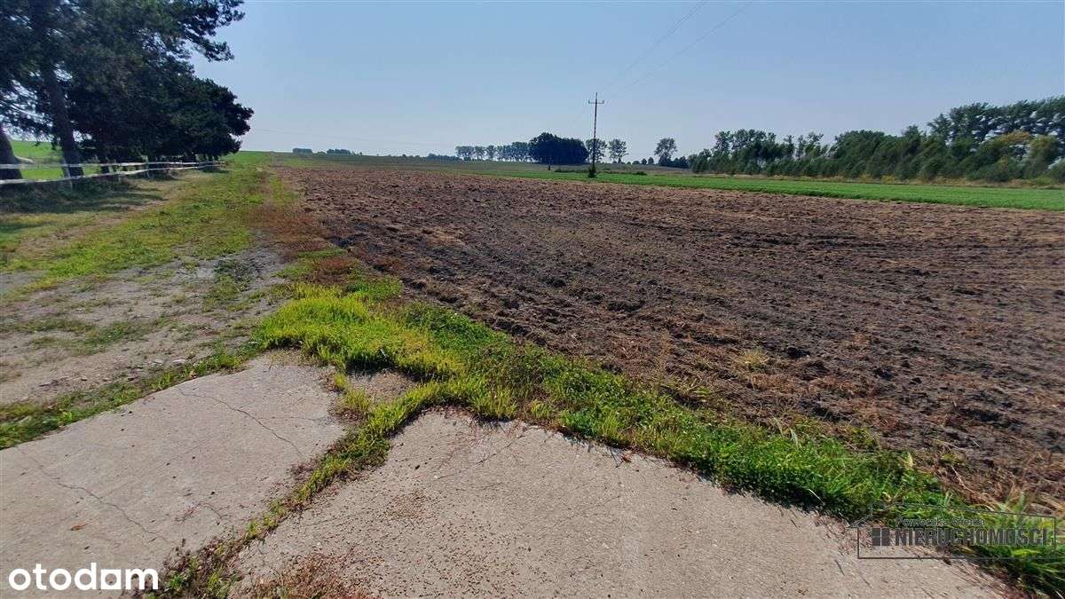 Bielikowo - działka budowlana około 20 minut od Ba-19