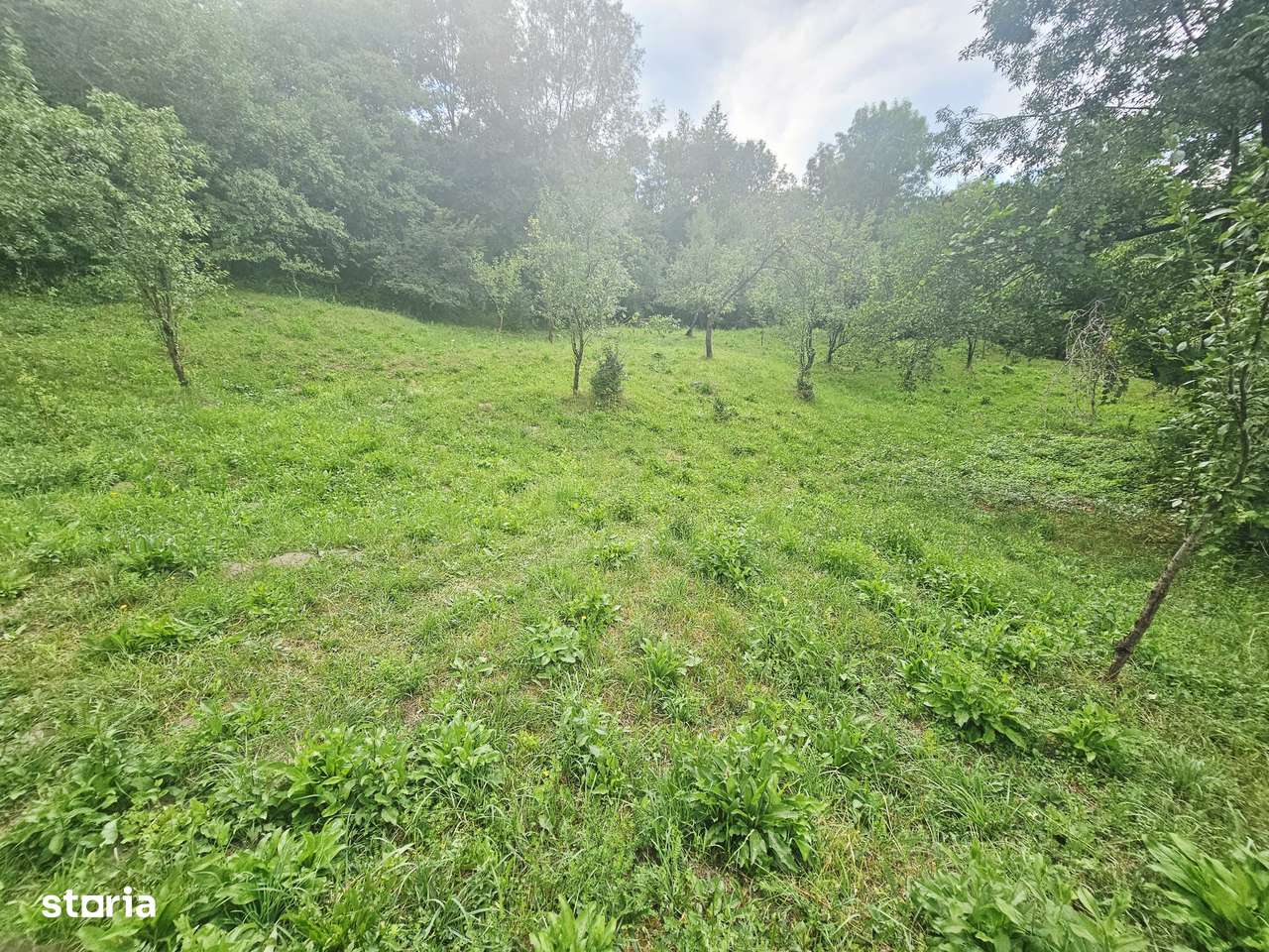 Teren intravilan de vânzare – 2.190 mp – Podu Vadului, Breaza - Imagine principală: 4/16