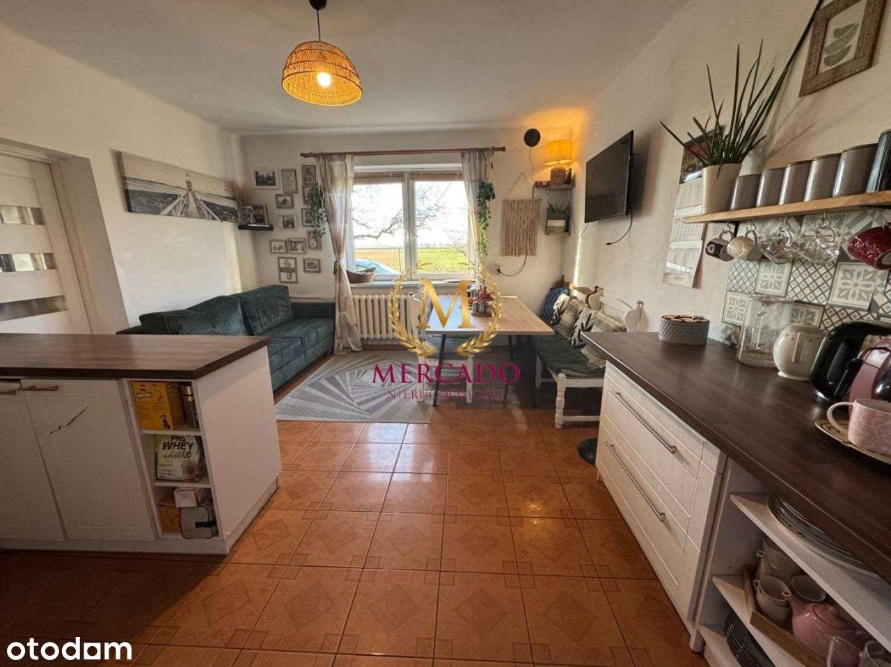 Siedlisko z dużą działką i sadem – bez sąsiadów 3p - Pełny obrazek: 5/20