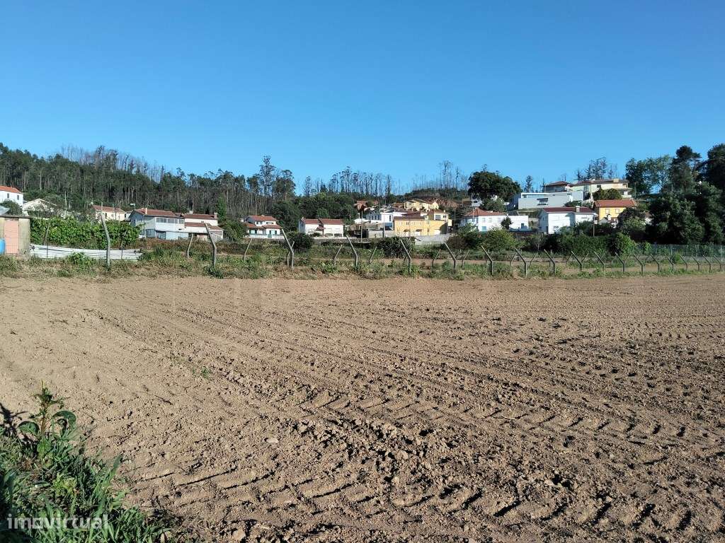 Terreno urbanizável com 19 m de frente- Branca / Albergaria-a-Velha-5