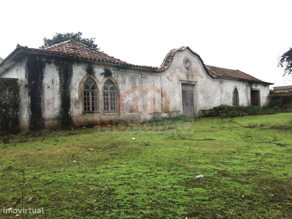 QUINTA - GIÃO-9