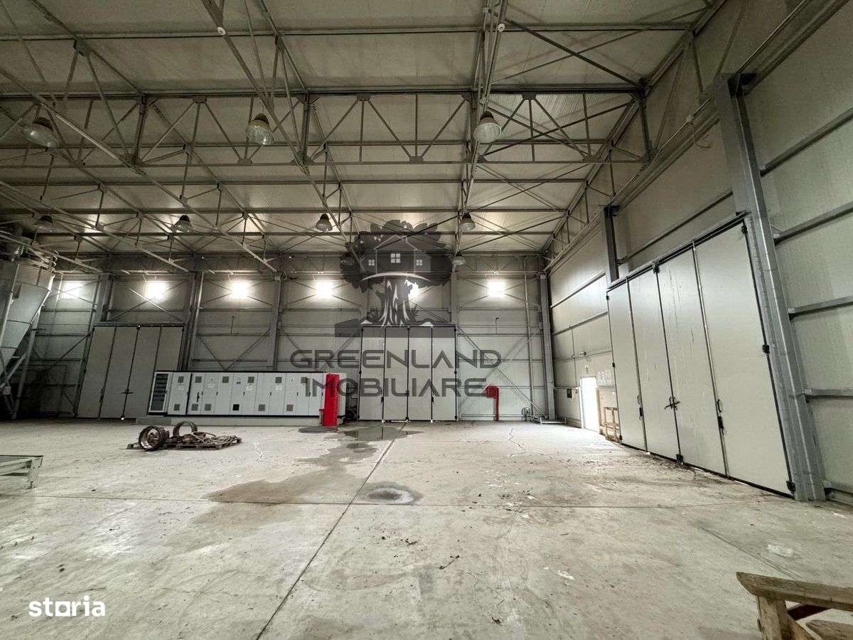HALA INDUSTRIALA 2000mp + 20.000mp teren, la DN, traf 1000kw, ca noua-1
