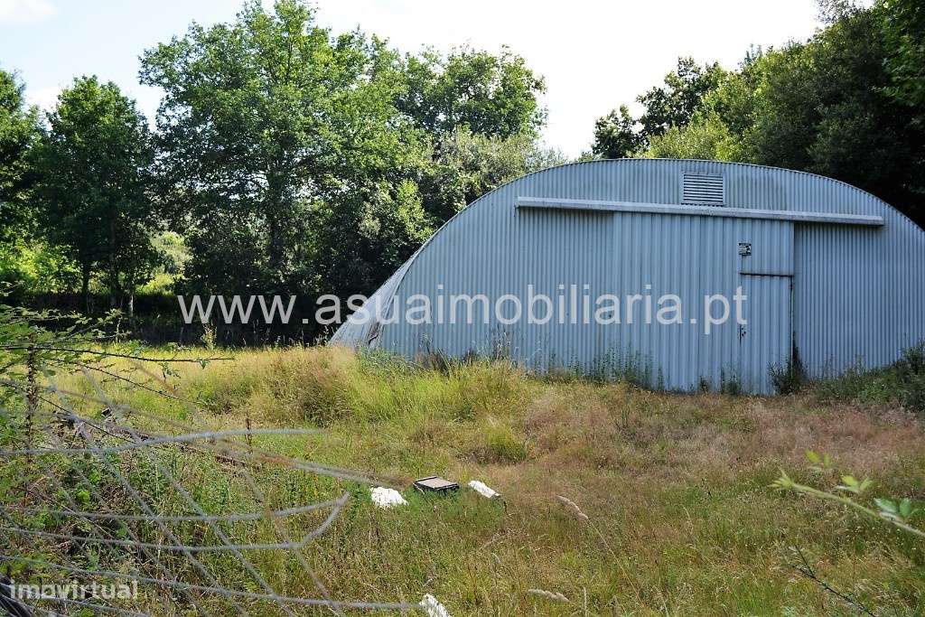 Terreno Agrícola - Sequeiros - Grande imagem: 3/9