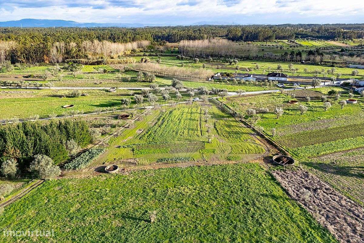 Terreno  para venda - Grande imagem: 3/11