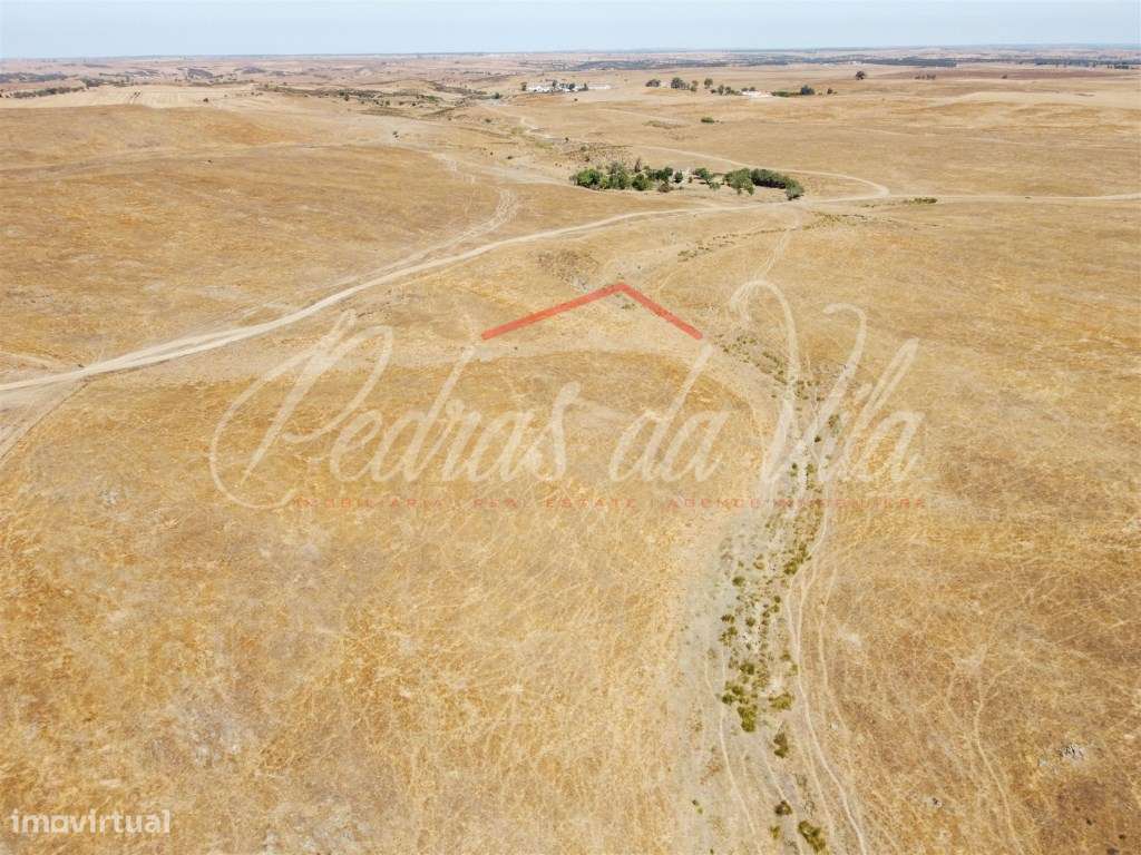 Propriédade de 119ha com varias ruinas - Castro Verde-47