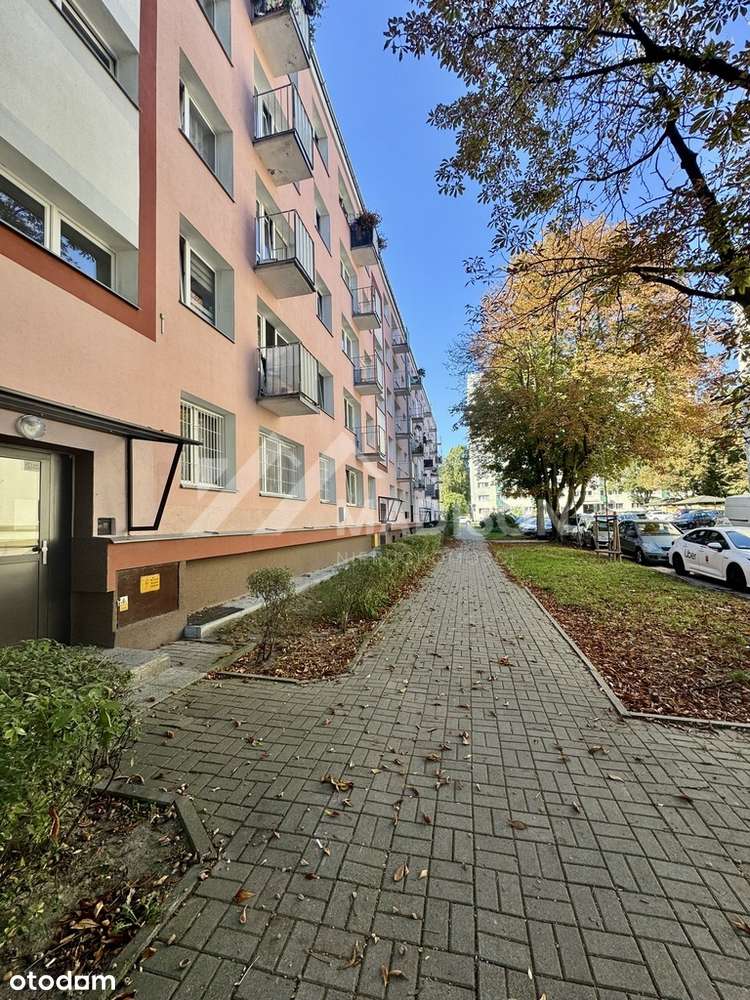 37,5m2 | 2 pokoje | balkon | piwnica | Służew-12