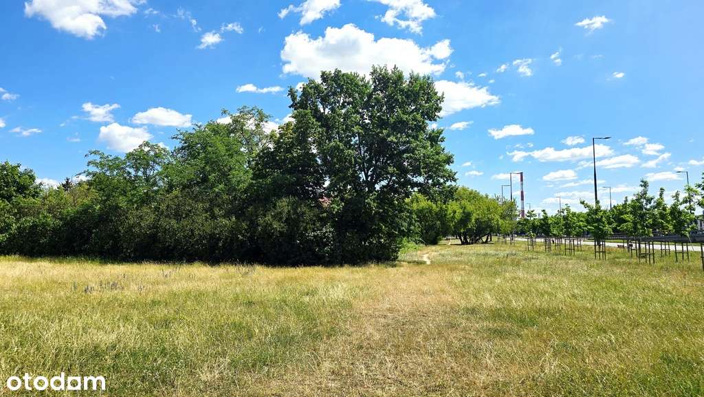 Działka ul. Modlińska, PUU/PUM: 4516m2, Unikat!-9