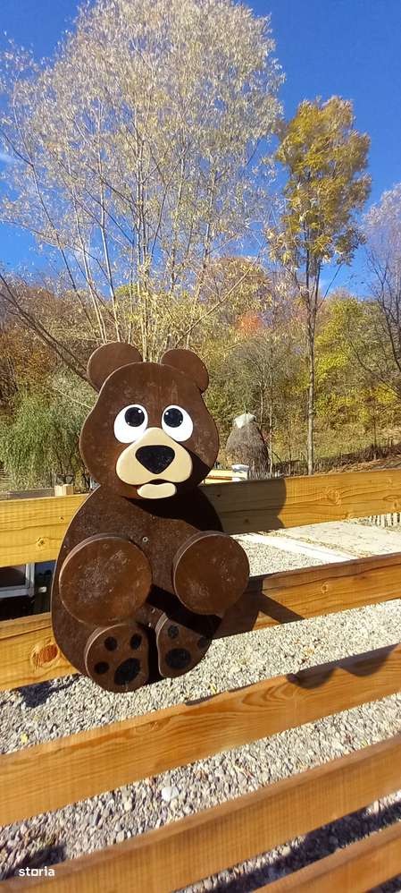 Case de vanzare-case de vacanta, Campina, Plaiul Campinei-10