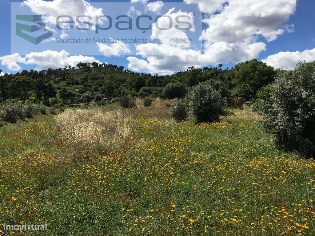 Quintinha para venda no Fundão - Grande imagem: 5/13